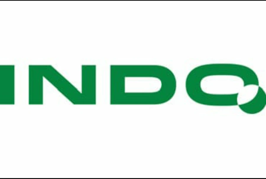 Logo INDO